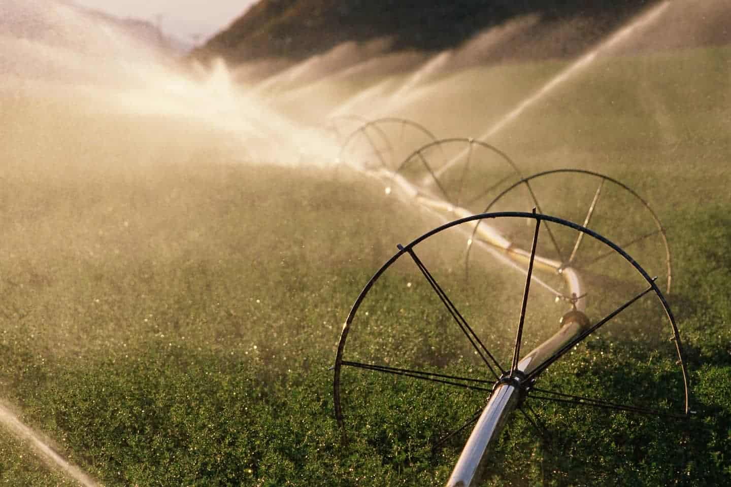 water sprinklers in operation on crop